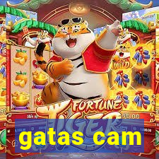 gatas cam